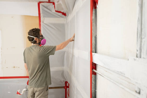 Best Environmental Consulting for Mold Prevention  in Lawrence, MA