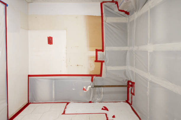 Best Crawl Space Mold Remediation  in Lawrence, MA