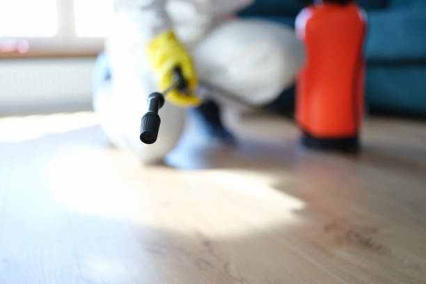 Reliable Lawrence, MA Mold Removal Solutions