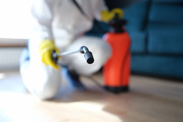 Best Crawl Space Mold Remediation  in Lawrence, MA