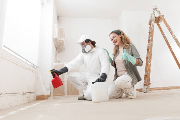 Best Mold Prevention Services  in Lawrence, MA
