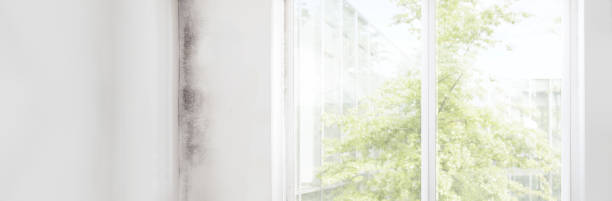 Best Airborne Mold Testing  in Lawrence, MA