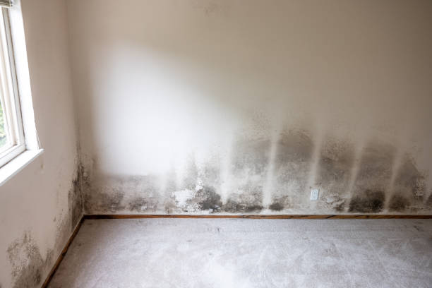 Best Flood Damage  in Lawrence, MA