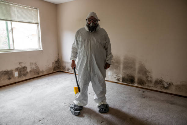 Best Real Estate Mold Inspection  in Lawrence, MA