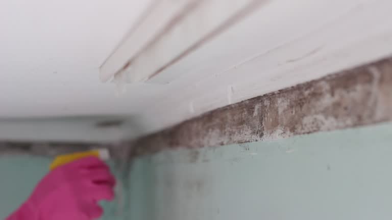 Best Indoor Air Quality Assessment  in Lawrence, MA